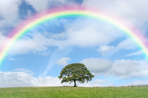 Fotolia_5739055_XS