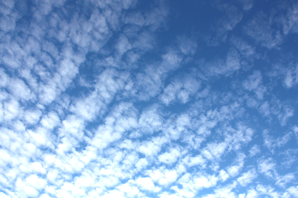 stockvault-blue-sky121549